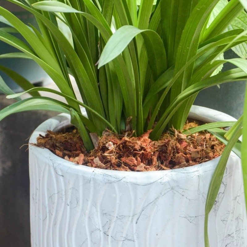 Coconut Coir Brick with Organi - огляд і ціна Substrate Coconut Fiber
